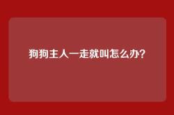 狗狗主人一走就叫怎么办？