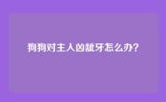 狗狗对主人凶龇牙怎么办？