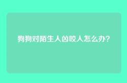 狗狗对陌生人凶咬人怎么办？