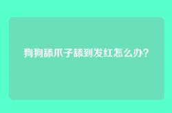 狗狗舔爪子舔到发红怎么办？