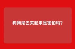 狗狗尾巴夹起来是害怕吗？