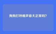 狗狗打呼噜声音大正常吗？