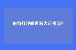 狗狗打呼噜声音大正常吗？