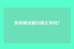 狗狗睡觉翻白眼正常吗？