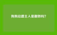 狗狗总蹭主人是撒娇吗？