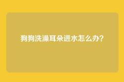 狗狗洗澡耳朵进水怎么办？