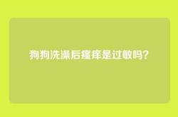 狗狗洗澡后瘙痒是过敏吗？