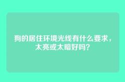 狗的居住环境光线有什么要求，太亮或太暗好吗？