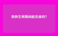 狗狗生病期间能洗澡吗？