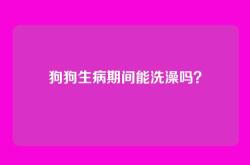 狗狗生病期间能洗澡吗？