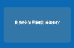 狗狗疫苗期间能洗澡吗？