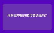 狗狗湿巾擦身能代替洗澡吗？