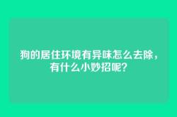 狗的居住环境有异味怎么去除，有什么小妙招呢？