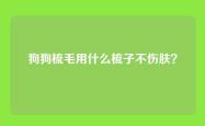 狗狗梳毛用什么梳子不伤肤？