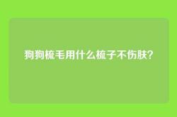 狗狗梳毛用什么梳子不伤肤？