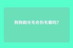 狗狗剃光毛会伤毛囊吗？