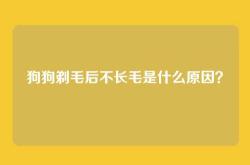 狗狗剃毛后不长毛是什么原因？