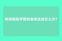 狗狗剪指甲剪到血线流血怎么办？