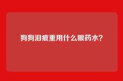 狗狗泪痕重用什么眼药水？