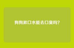 狗狗漱口水能去口臭吗？