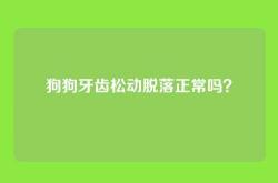 狗狗牙齿松动脱落正常吗？