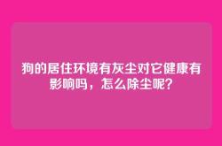 狗的居住环境有灰尘对它健康有影响吗，怎么除尘呢？
