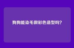 狗狗能染毛做彩色造型吗？