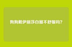 狗狗戴伊丽莎白圈不舒服吗？