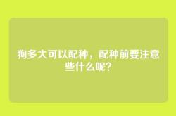 狗多大可以配种，配种前要注意些什么呢？