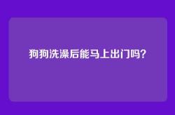 狗狗洗澡后能马上出门吗？
