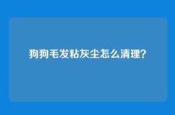 狗狗毛发粘灰尘怎么清理？