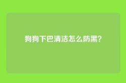 狗狗下巴清洁怎么防黑？