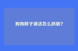 狗狗脖子清洁怎么防脏？