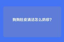 狗狗肚皮清洁怎么防疹？