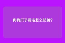 狗狗爪子清洁怎么防脏？