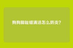 狗狗脚趾缝清洁怎么防炎？