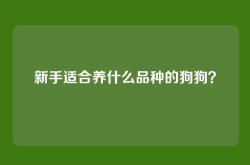 新手适合养什么品种的狗狗？