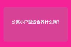 公寓小户型适合养什么狗？
