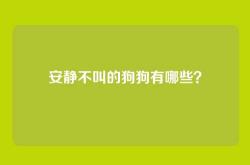安静不叫的狗狗有哪些？