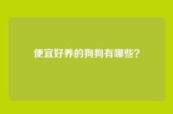 便宜好养的狗狗有哪些？