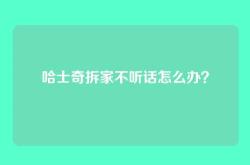 哈士奇拆家不听话怎么办？