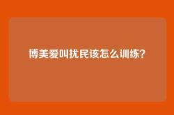 博美爱叫扰民该怎么训练？
