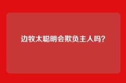边牧太聪明会欺负主人吗？