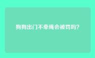 狗狗出门不牵绳会被罚吗？