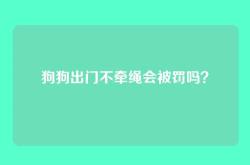 狗狗出门不牵绳会被罚吗？