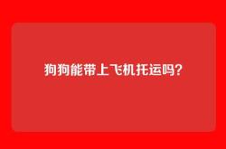 狗狗能带上飞机托运吗？