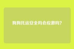 狗狗托运安全吗会应激吗？