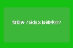 狗狗丢了该怎么快速找回？