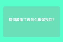 狗狗被偷了该怎么报警找回？