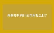 狗狗芯片有什么作用怎么打？